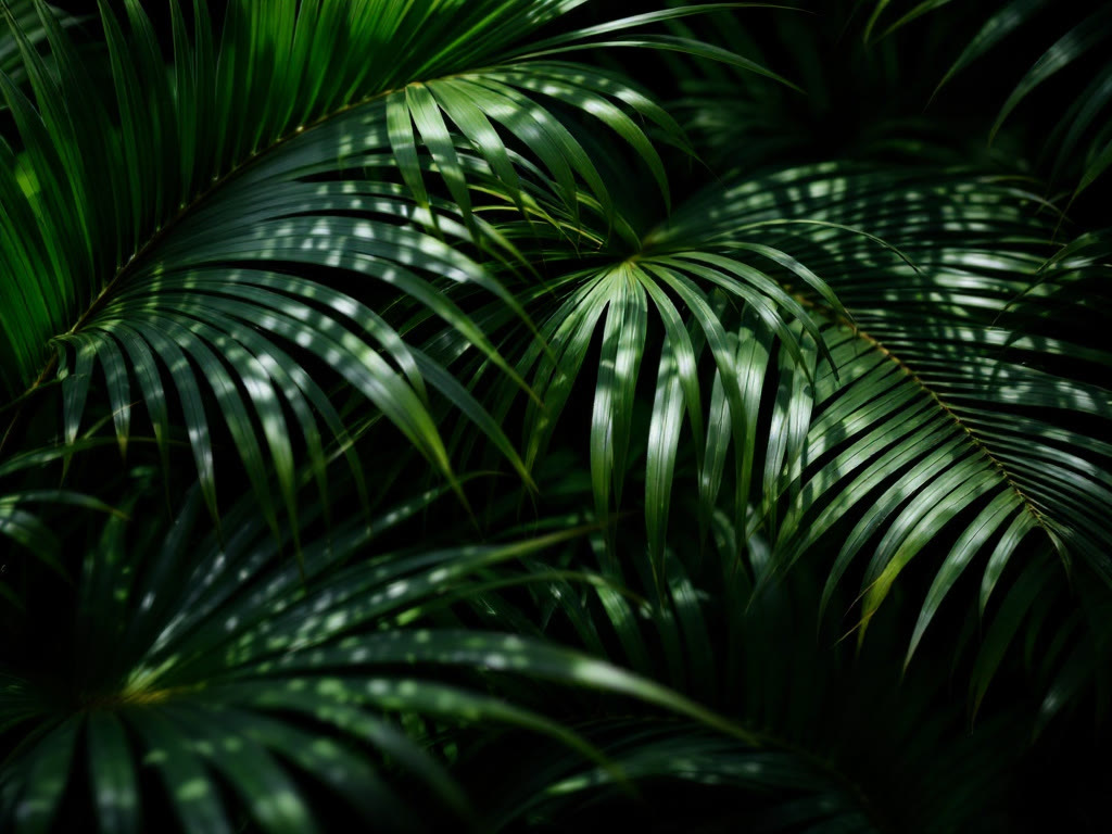 Hojas de palmera
